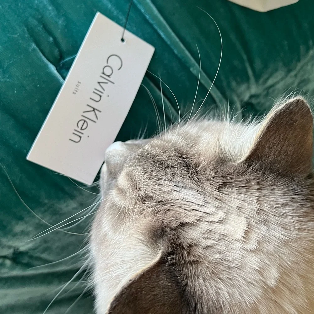 Calvin Klein 2 piece suit (hypoallergenic Siberian cat not included) 😹 - Picture 2 of 12